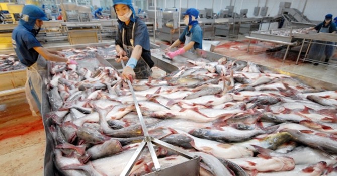 Phát triển xuất khẩu theo vùng đối mặt nhiều thách thức