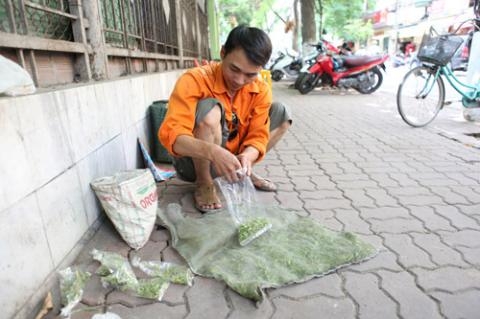Vợt châu chấu, hốt bạc 60 triệu đ/tháng