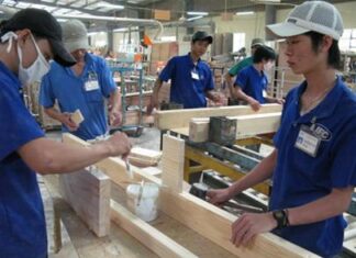Xuất khẩu gỗ: Sân chơi của các nhà đầu tư nước ngoài
