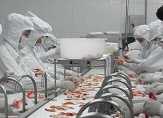 Việt Nam đứng thứ 3 Thế Giới về xuất khẩu tôm, đạt 2,5 tỷ USD