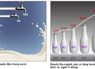 Tầm vóc ngành sữa Việt Nam