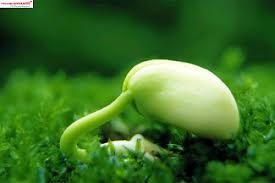 Học cách thành công từ khuyết điểm!