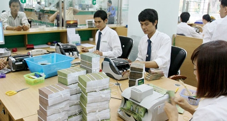 Vùng vẫy trong vũng lầy đa ngành