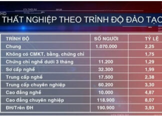 Thực trạng thất nghiệp: Cứ 100 người thì 18 người có bằng đại học trở lên