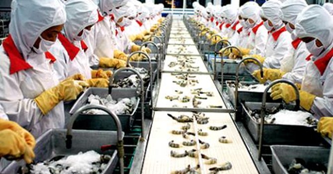 Thủy sản Việt sang Nga, vướng rào chắn kỹ thuật trá hình?