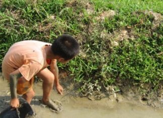 Tinh thần vượt khó của bé trai 10 tuổi phải mò cua, bắt ốc nuôi bố và bà