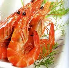 Câu chuyện về làng tỷ phú tôm hùm ở Phú Yên