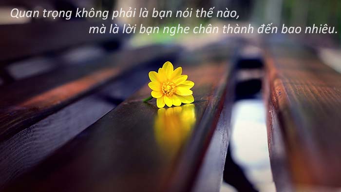 Chân tình MISA