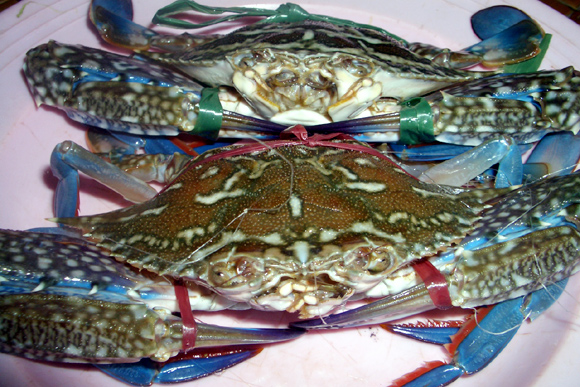 Trào lưu mua bán hộ của dân công sở