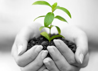 Nhà nước, tư nhân và doanh nghiệp FDI sẽ chung mức lương tối thiểu