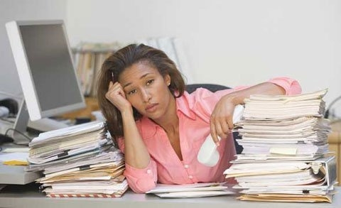 Dành cho dân văn phòng: Kỹ năng viết tờ trình