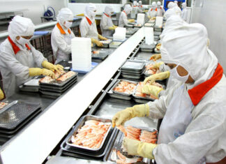 WTO ra phán quyết có lợi cho tôm VN: Vững niềm tin cho DN thủy sản