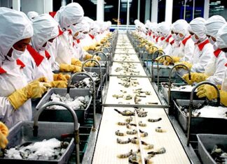 Xâm nhập thị trường EU: Doanh nghiệp Việt đừng “ăn xổi”