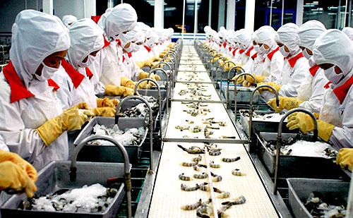 Xâm nhập thị trường EU: Doanh nghiệp Việt đừng “ăn xổi”