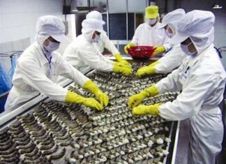 Khủng hoảng tôm và chuỗi cung ứng trên toàn cầu
