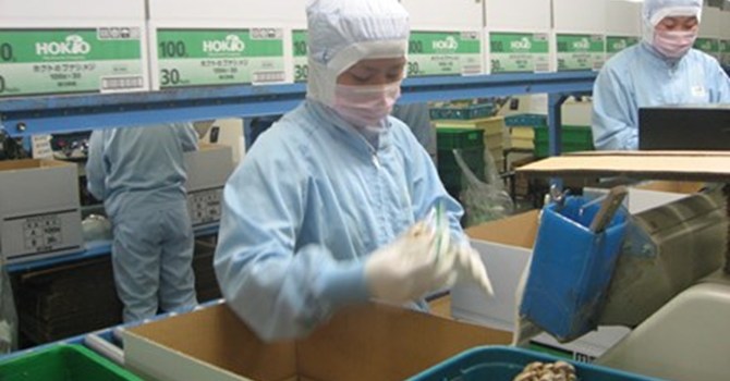 Xuất khẩu lao động sang Nhật Bản: Cẩn thận “chiêu” lừa mới