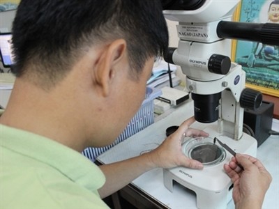 Nghề bảo hiểm, những đặc thù bạn chưa biết